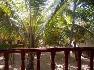 View from the veranda of bungalow C2