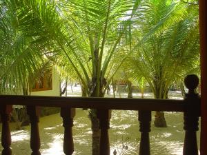 View from the veranda of bungalow C1