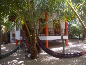 Bungalow C2 with its hammocks