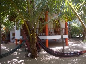 Bungalow C2 with its hammocks