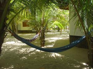 View from the hammocks of bungalow C2