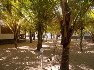 view from the back row of the bungalows