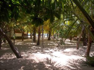 view from the back row of the bungalows