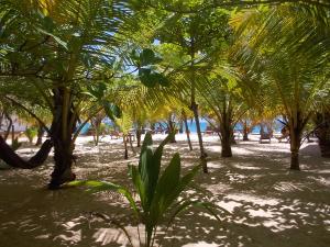 View from the front row of the bungalows