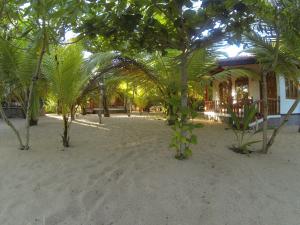 panoramic view from the beach