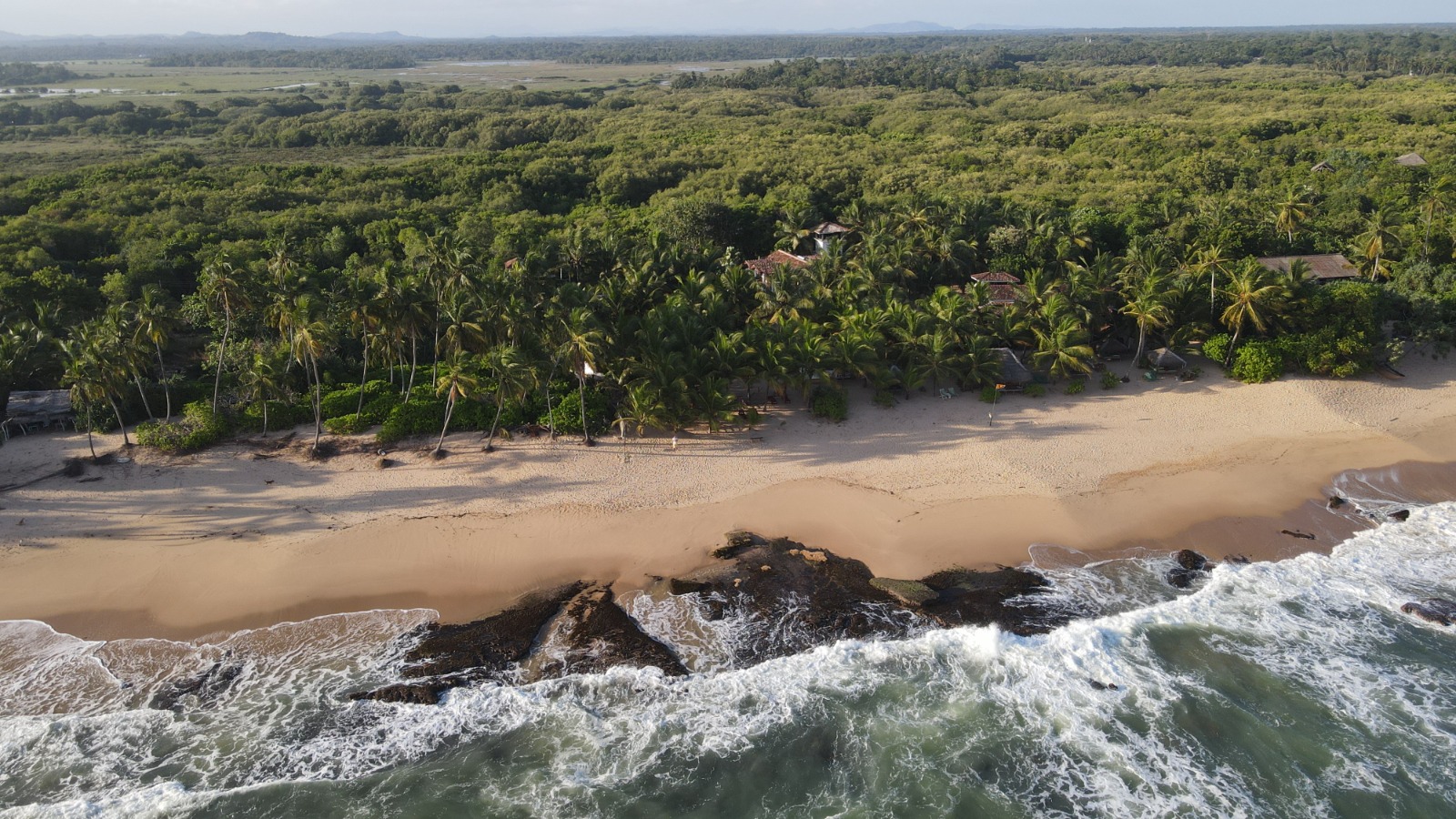 Patini aerial ocean to mangrove Bryan Jensen 2024